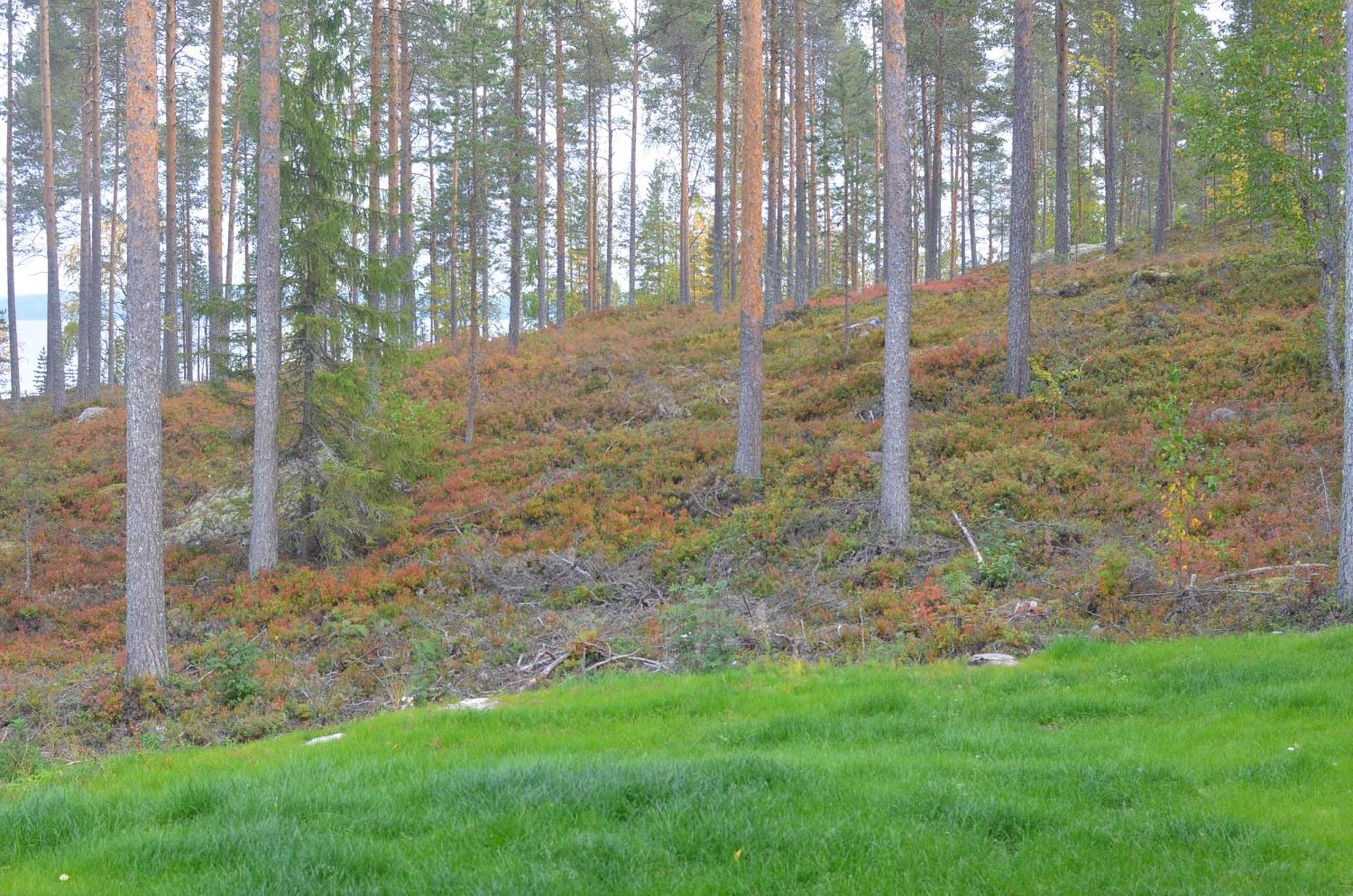 Kainiemen Huvilat Nurmes Habitación foto